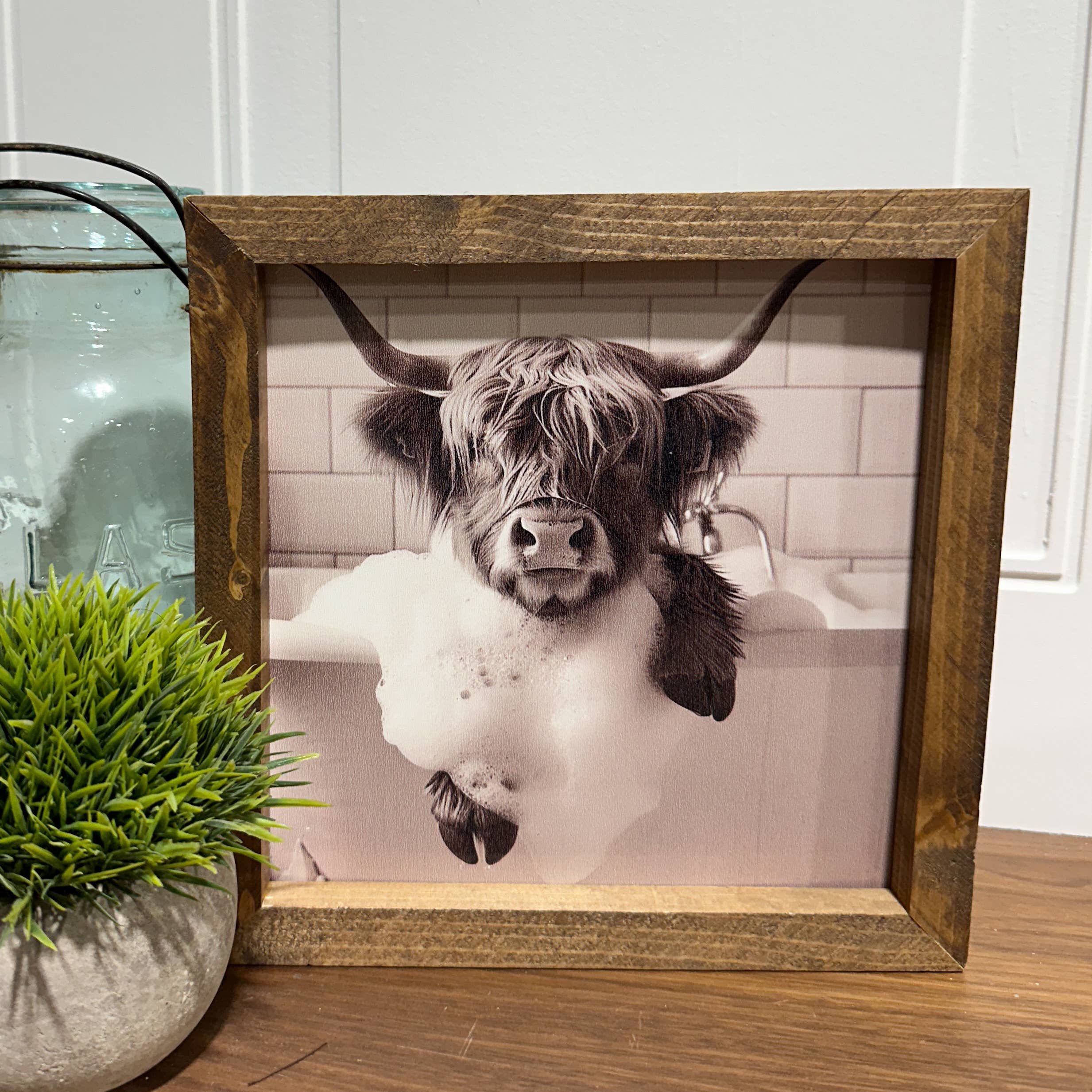 The Broken Board - Venta al por mayor Ilustración - Vaca Highland sumergida en la bañera6