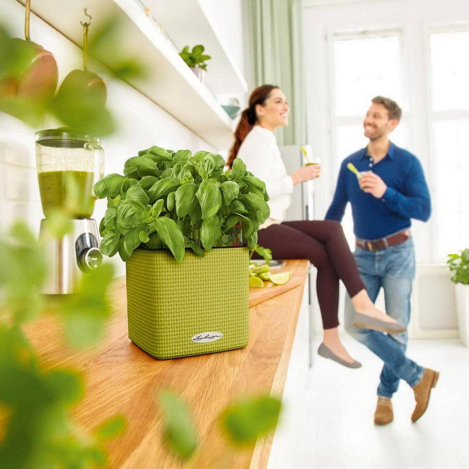 Lechuza Self Watering Planters – Engroshandel Plantekasse – LECHUZA CUBE farve poly harpiks tabel firkantet plantageejer8