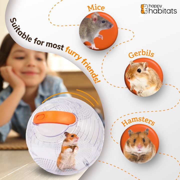 Happy Habitats - Vendita all'ingrosso Giocattolo per animali - Non gatti o cani - Halo Pet Carrier - Palla unica per criceti e palline per piccoli animali