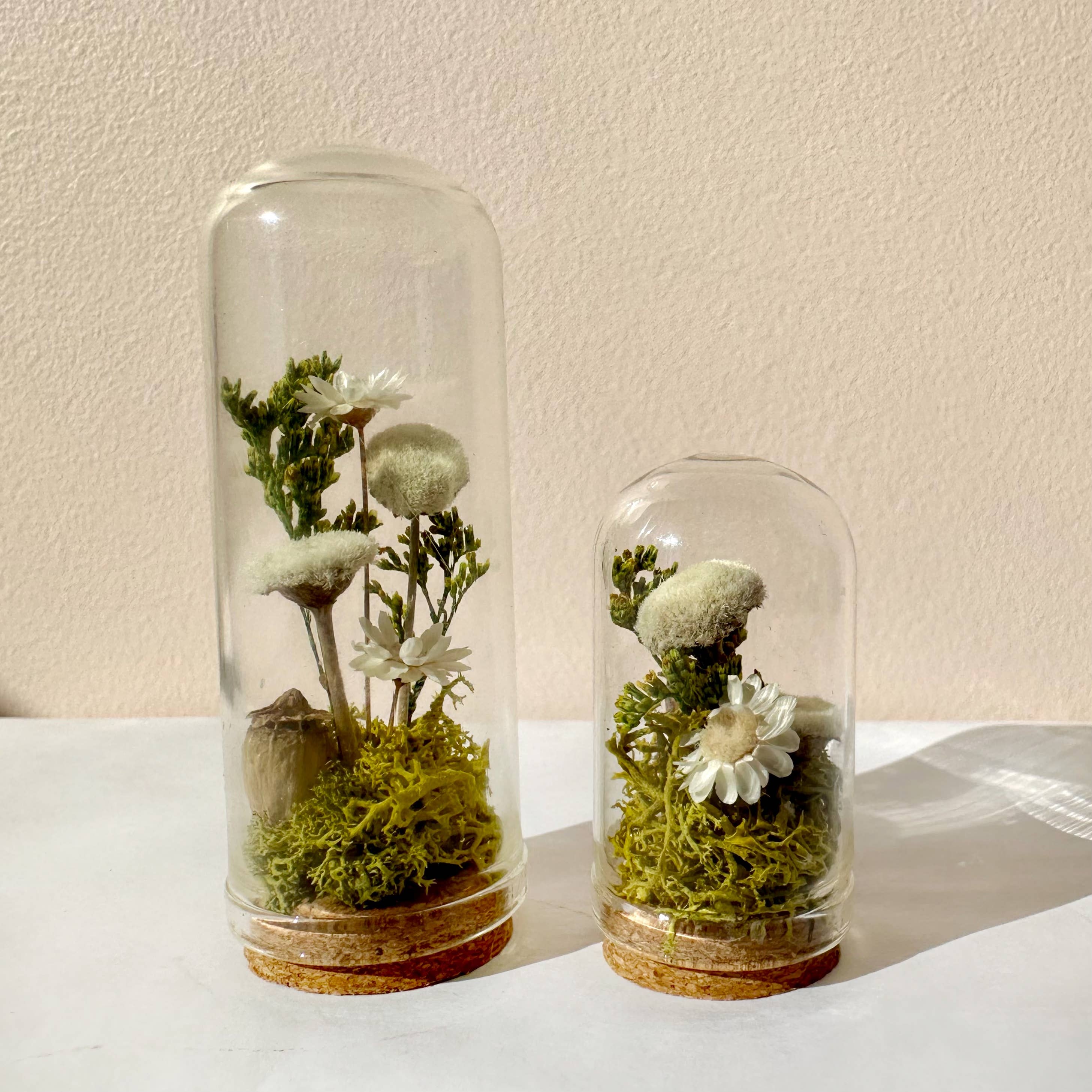 CA Studios - Wholesale Terrarium - Flower Forest Mini Glass Cloche Terrarium w. Dried Florals7