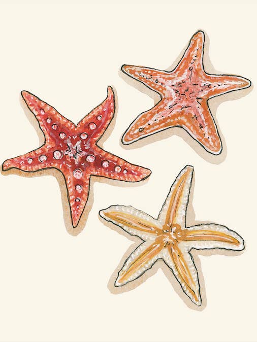 De la Mer Starfish Art Print for wholesale by artxnikki