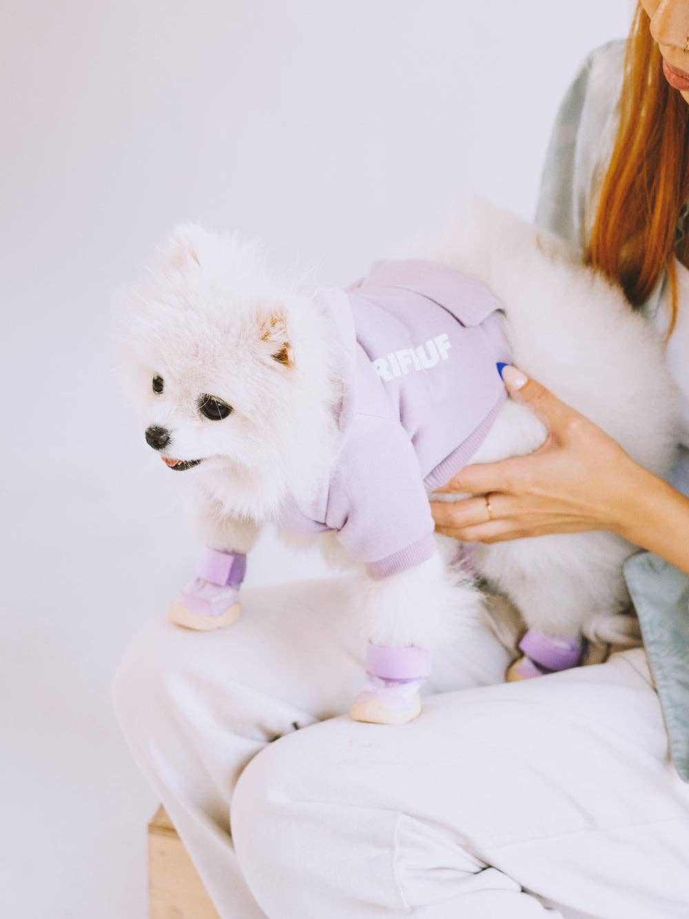 RIFRUF - Vente Bottines – chien - César 118