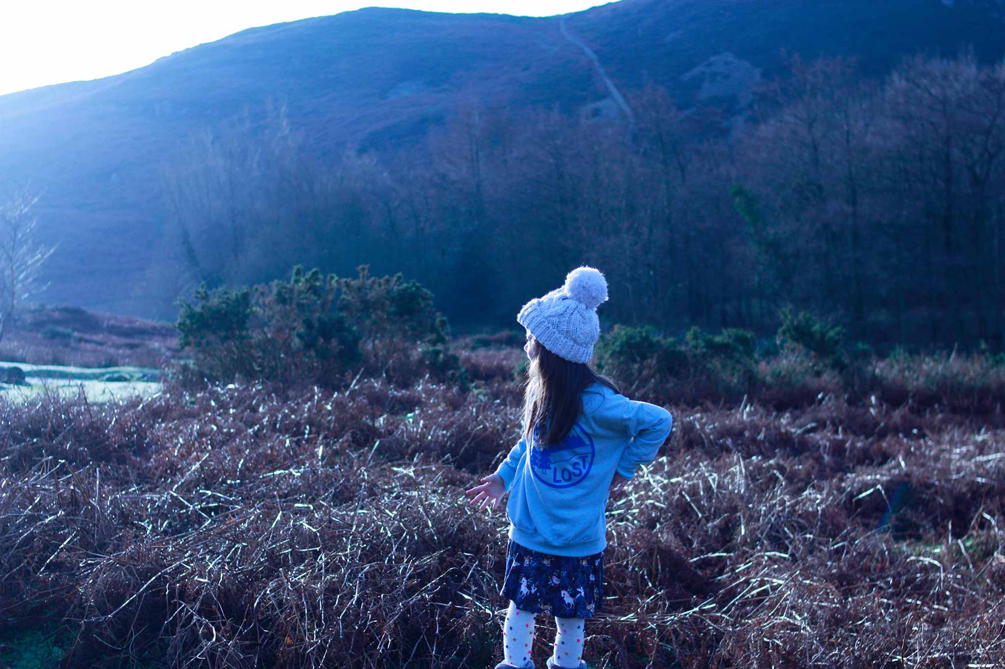 hello DODO - Wholesale Sweatshirt - Kids - Get Lost Kids Adventure Sweatshirt11