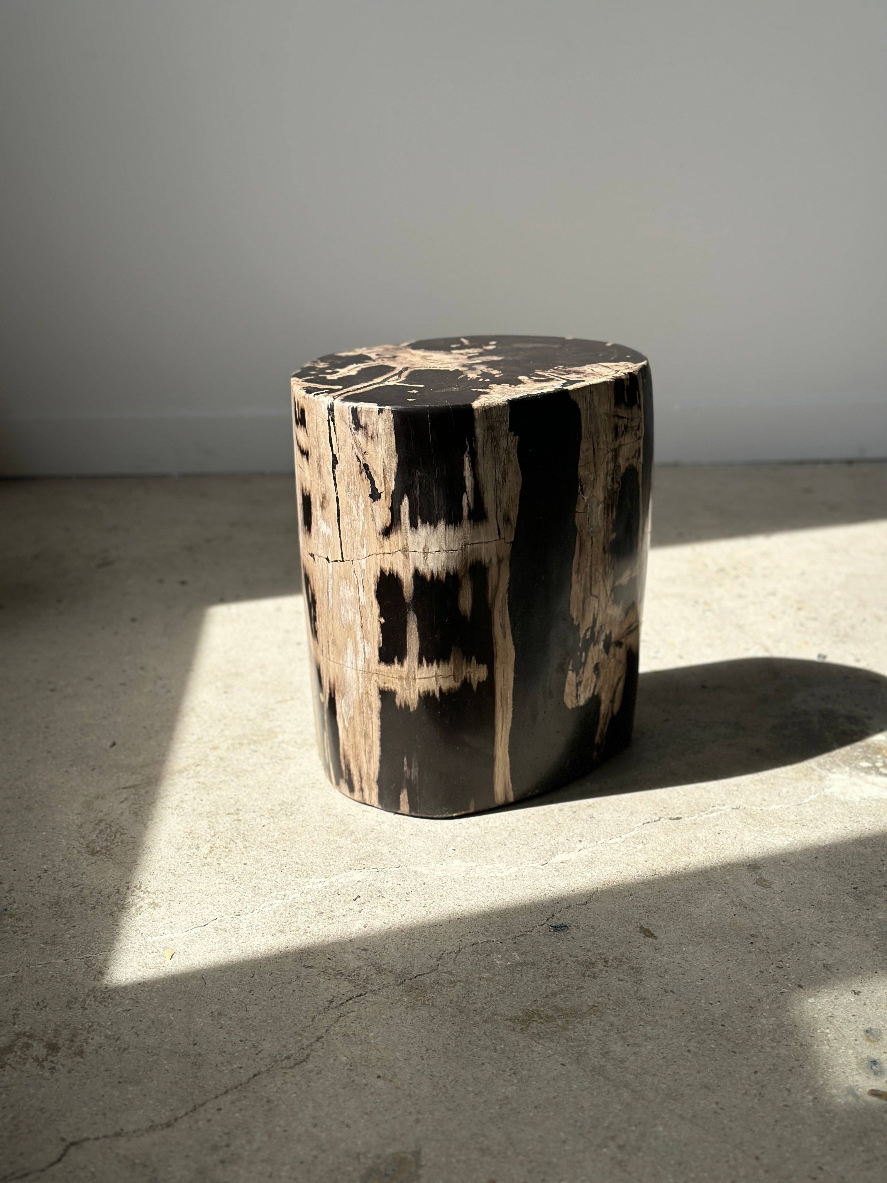 Office Objets - Vente Tables d'appoint - Table d'appoint en bois pétrifié40