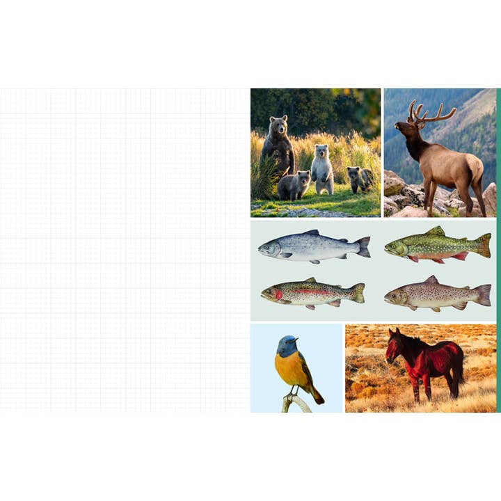 Insight Editions - #1 Pop Culture Publisher - Wholesale Education Book - Cut and Collage National Parks7