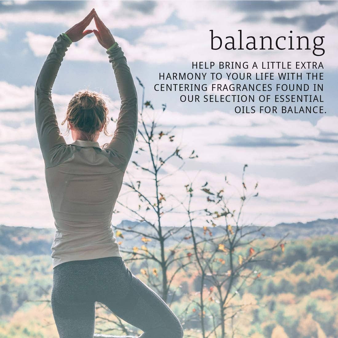 NutriCelebrity - Wholesale Essential Oil - NOW Essential Oils, Sage Oil, Normalizing Aromatherapy Scent3