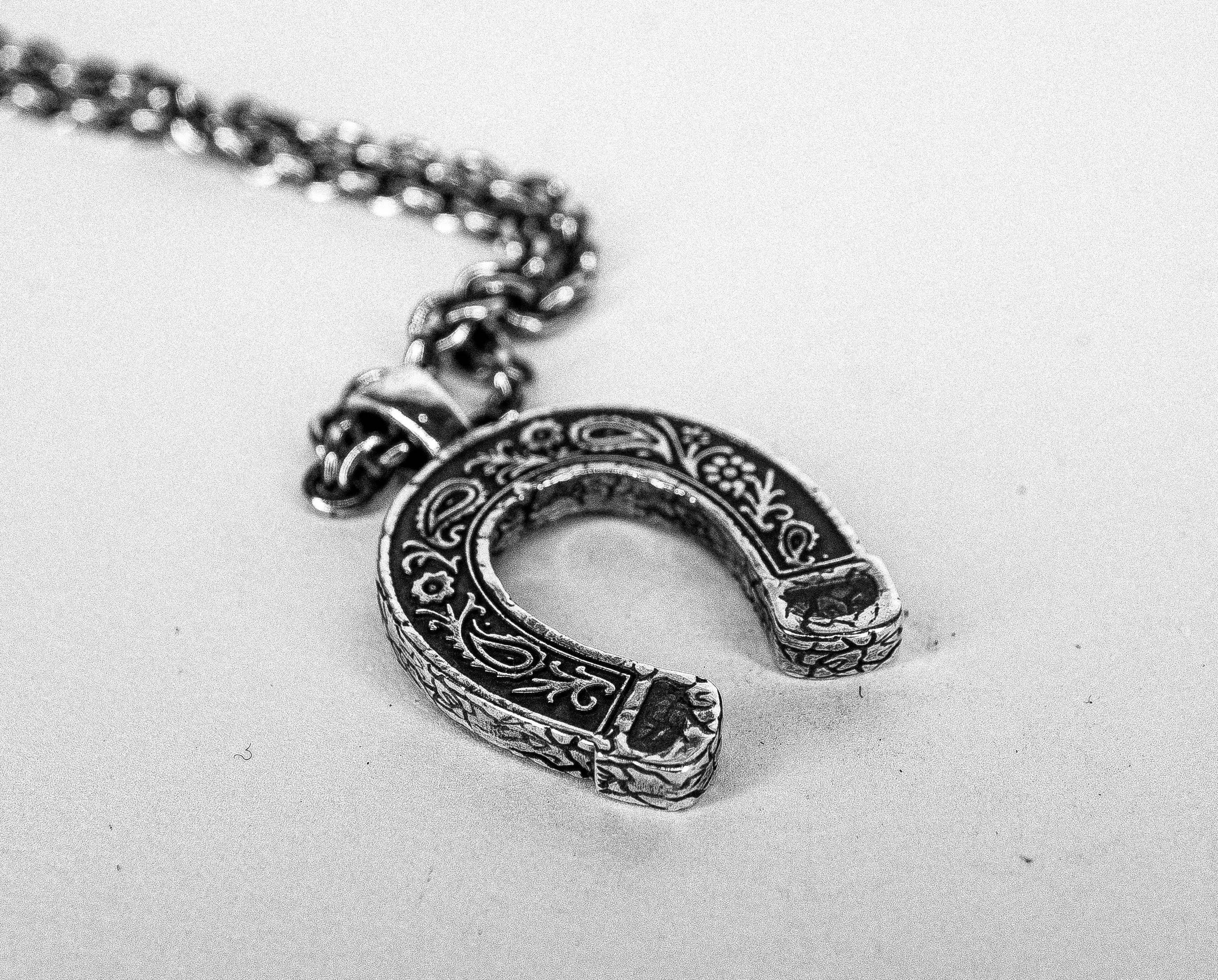 Lost Amigo - Wholesale Pendant/Charm Necklace - Horseshoe Down2