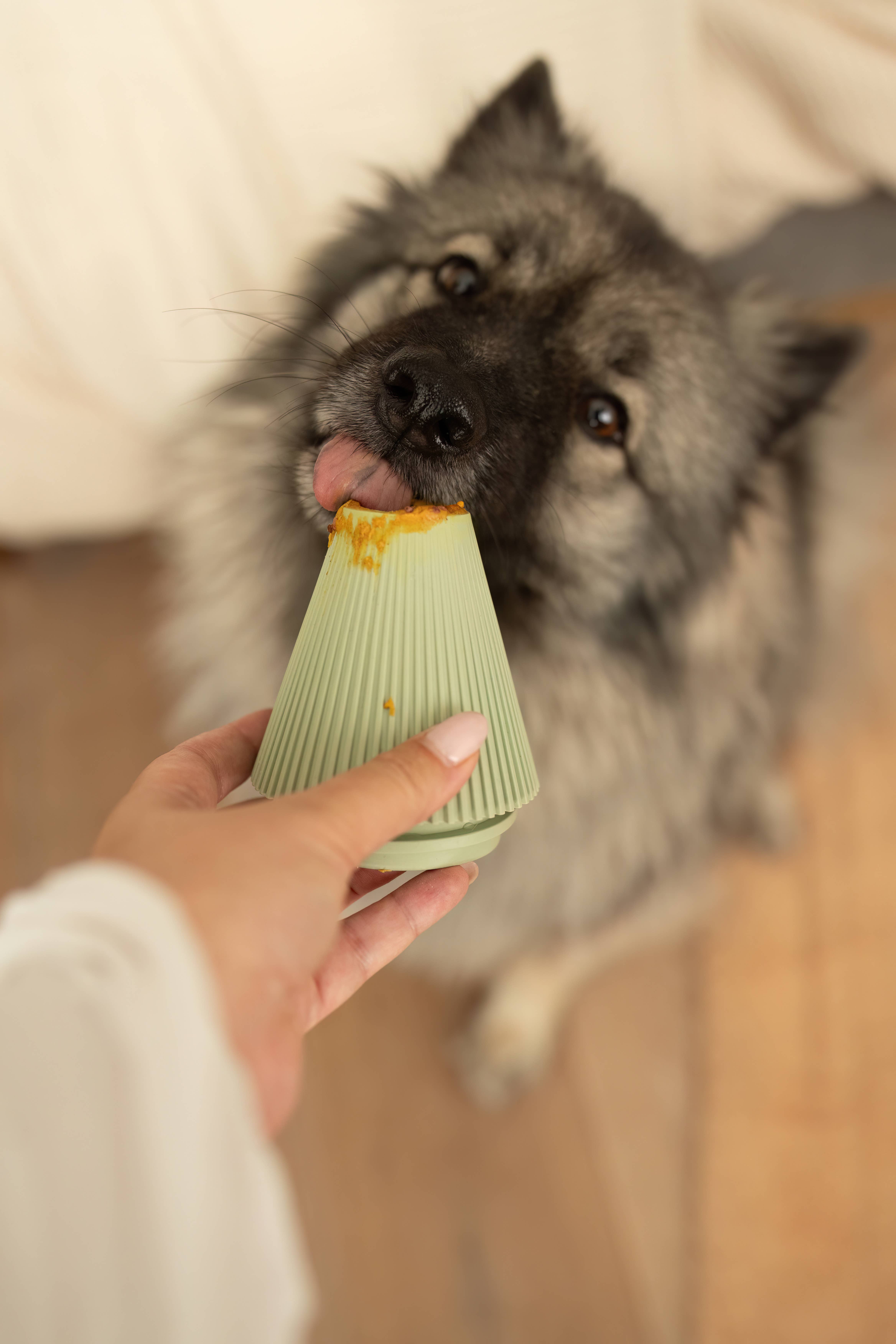 LIEVICK - Wholesale Pet Food Mat - Dog - YUME | enrichment product7