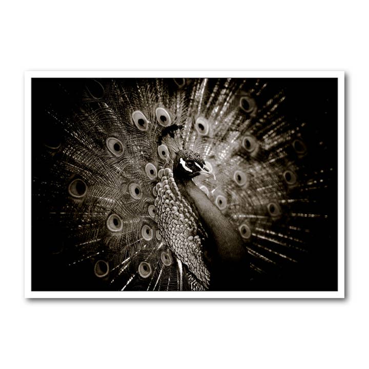 Formato de paisagem de cartão postal B/W DIN A6 MG1826 por atacado de Gutrath Verlag