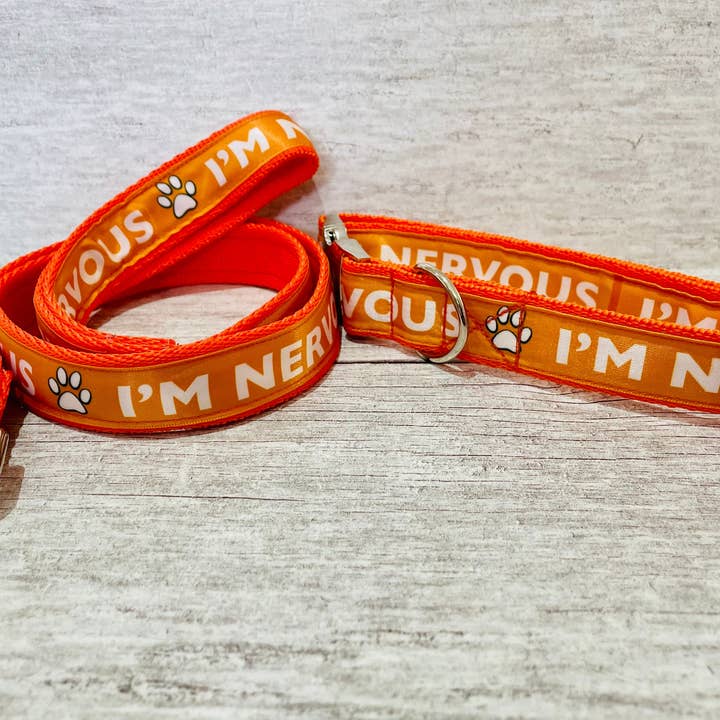 Dottie's Pet Boutique - Wholesale Pet Leash - Dog - I'm Nervous Leash Lead - KEEP AWAY Reactive Dog Lead Leash3