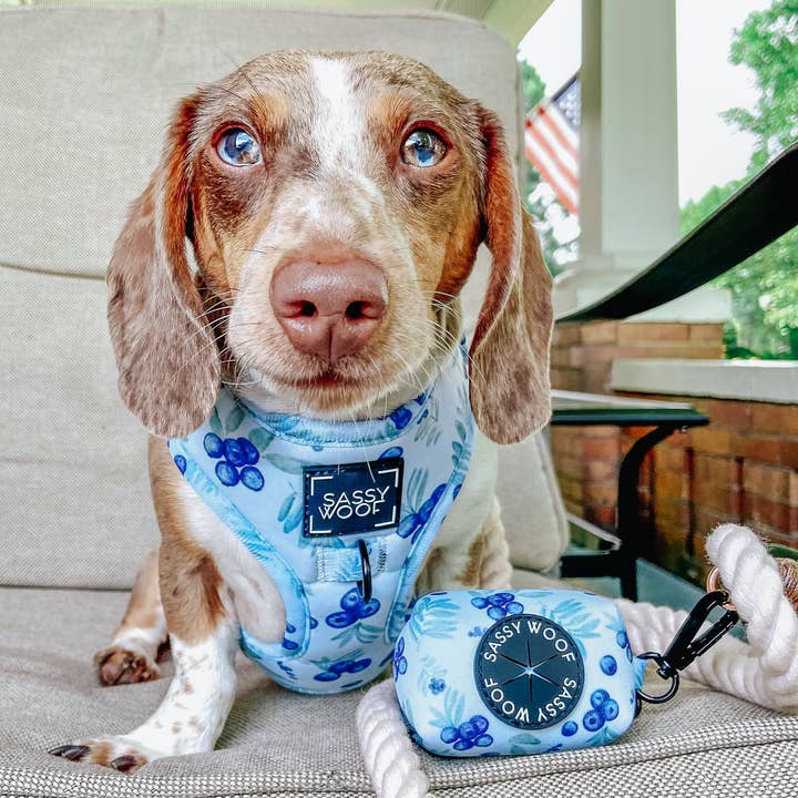 SASSY WOOF - Wholesale Pet Harness - Dog - Dog Adjustable Harness - Berry Sassy (Fruits)16