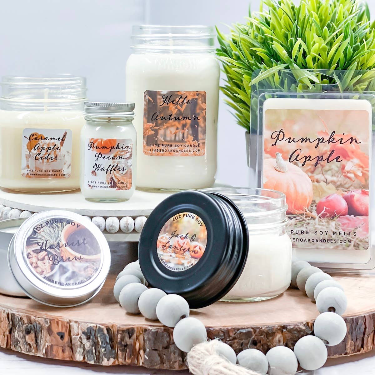 Timber Oak Candles - Wholesale Jar/Filled Candle - 8oz | 100% Pure Soy Mason Jar Candles | 40+ Scents1