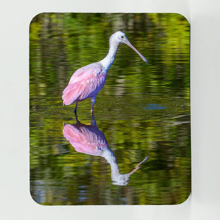 Mouse Pad-Roseate Spoonbill 7 for wholesale by Mike Ring Photography