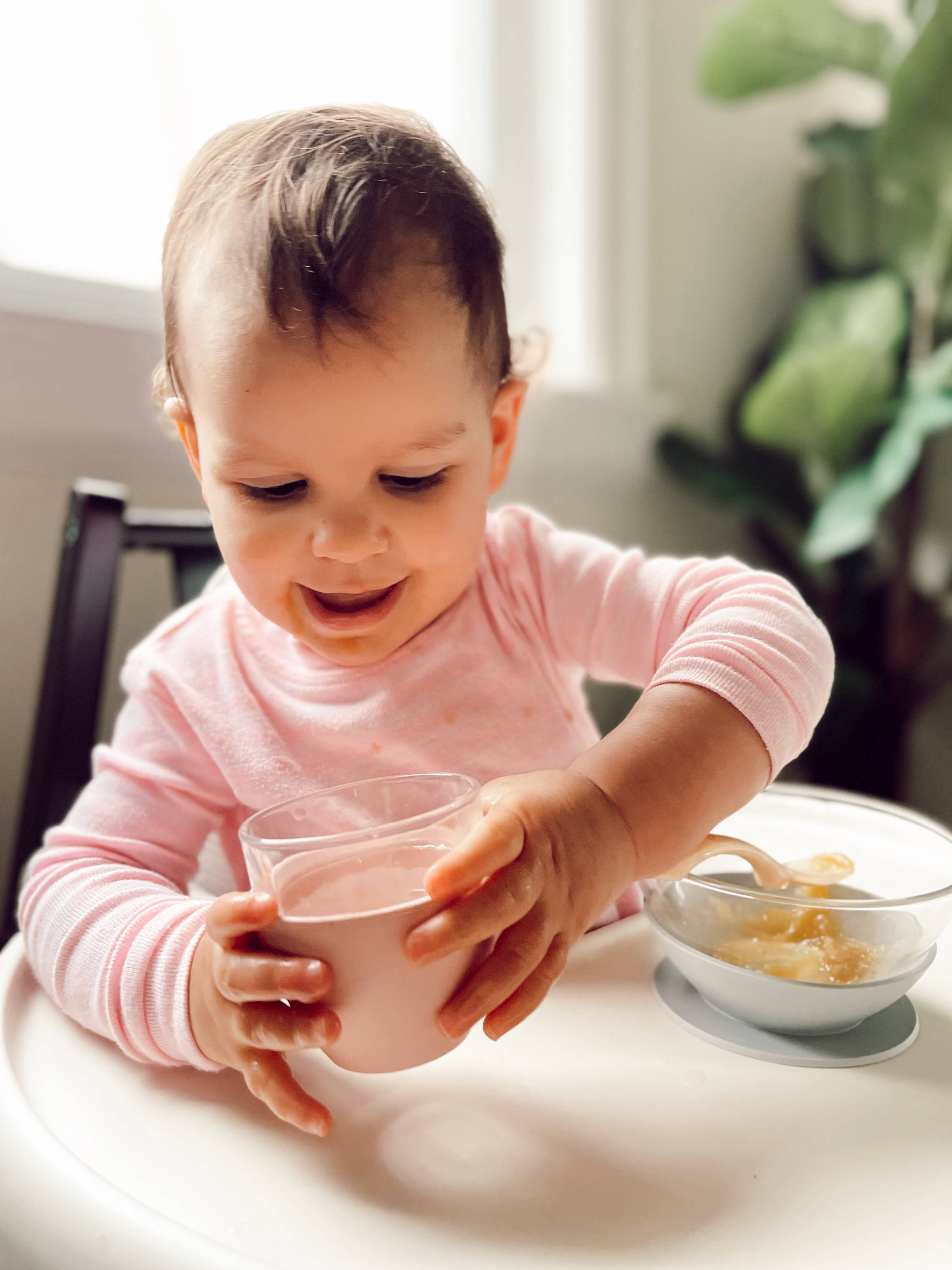 BEABA & Childhome - Wholesale Dinner Plate - Kids & Baby - BEABA Glass Meal Set - Eucalyptus5