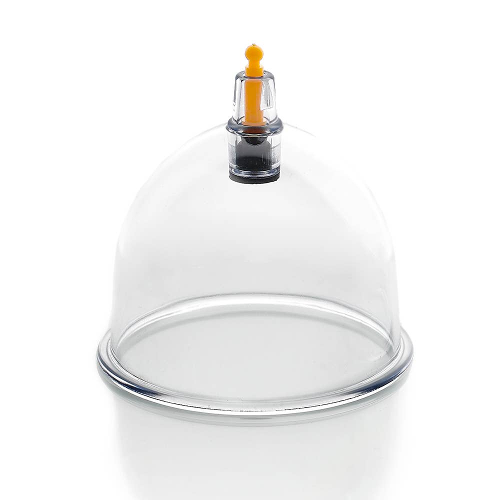 Nature’s Blends - Vente Verre/tasse - 500 ventouses de qualité supérieure - tailles mixtes de B1 à B61