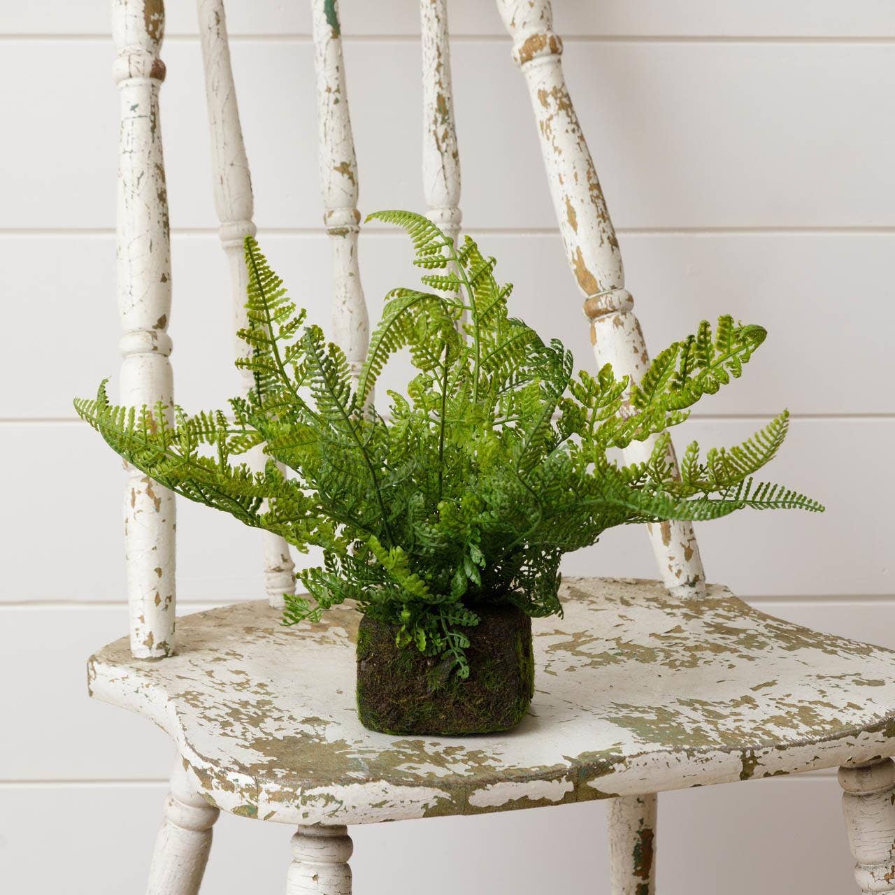 Audrey's Home & Gift – Planta artificial por atacado – Mossy Faux Fern (PC)1