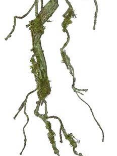 Moss Twig Vine, 36", Moss Green for wholesale by Select Artificials, Inc.