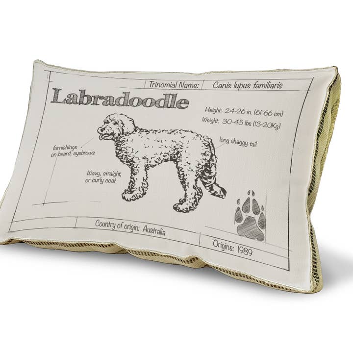 Almohada decorativa de 23" x 15" - Plano Labradoodle para venta al por mayor de SPLASHWORKS
