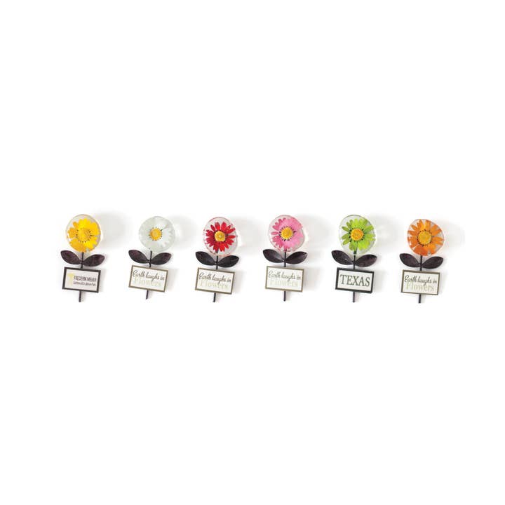 Sunnie Lane - Wholesale Magnet - Real Flower Magnet w/Stem - Custom Magnets