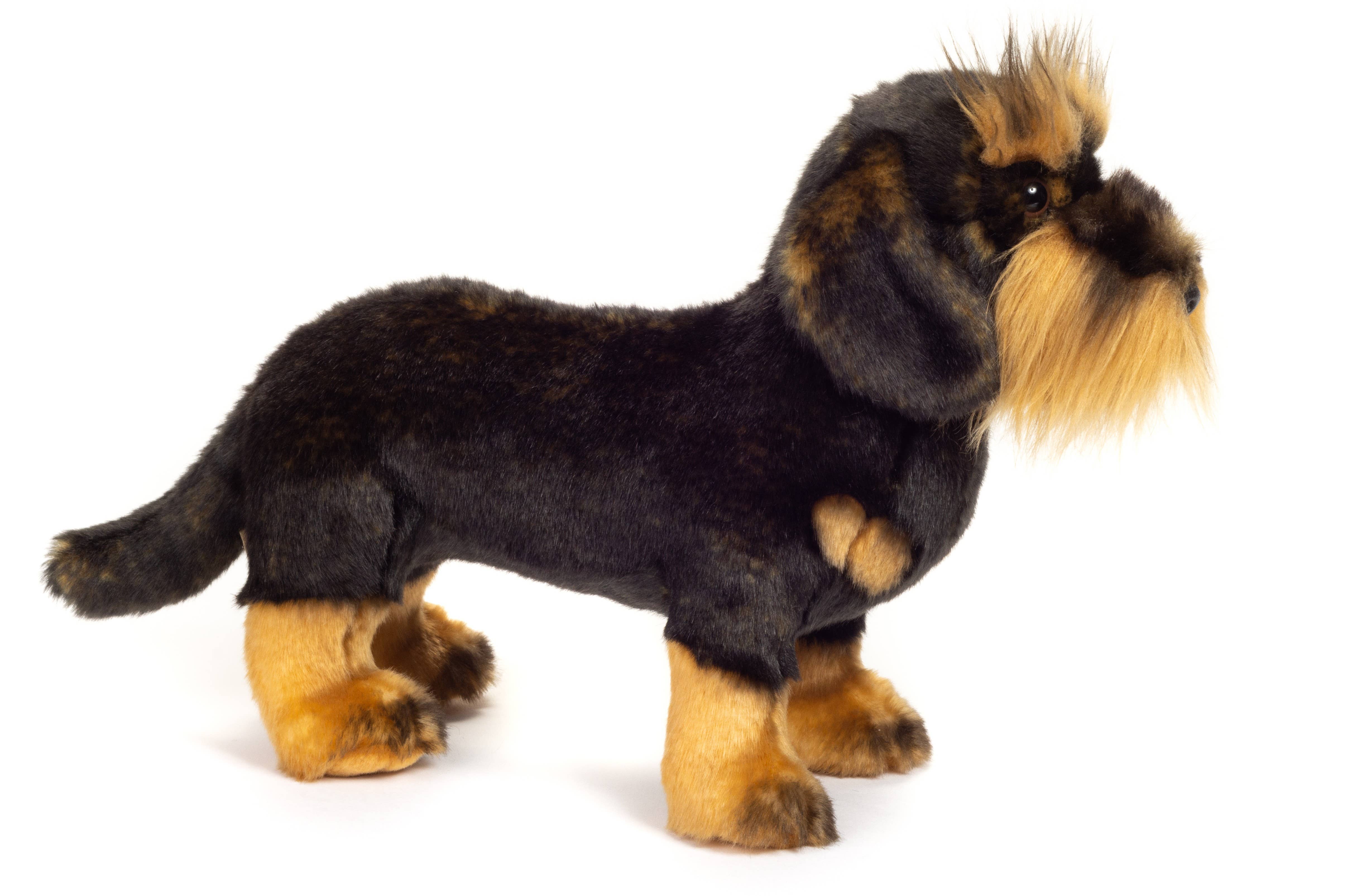 Teddy Hermann - Wholesale Stuffed/Plush Toy - Kids & Baby - Wire-haired dachshund standing 28 cm - plush toy - soft toy2