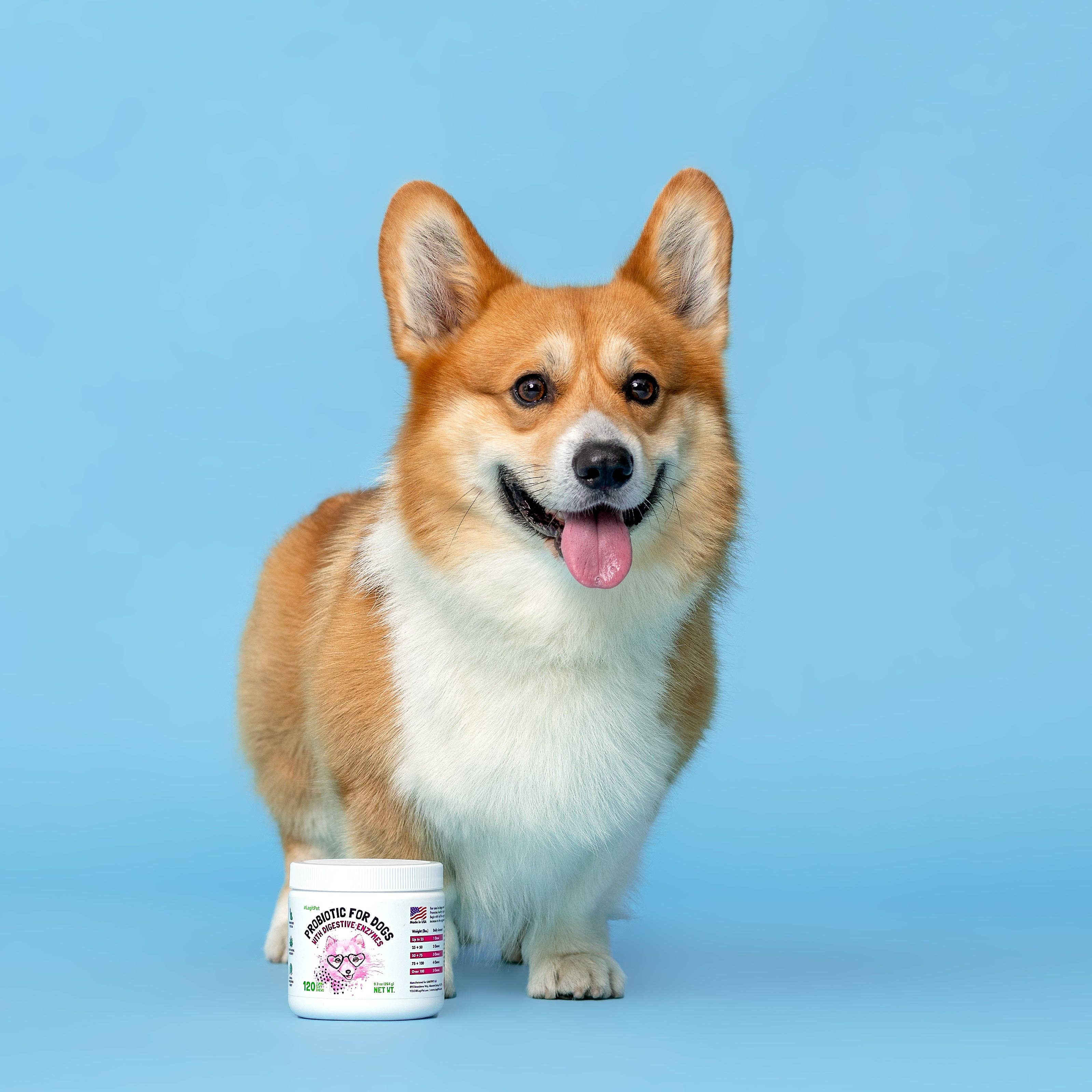 LEGITPET - Wholesale Pet Supplement - Dog - Probiotic for Dogs - with Natural Digestive Enzymes1