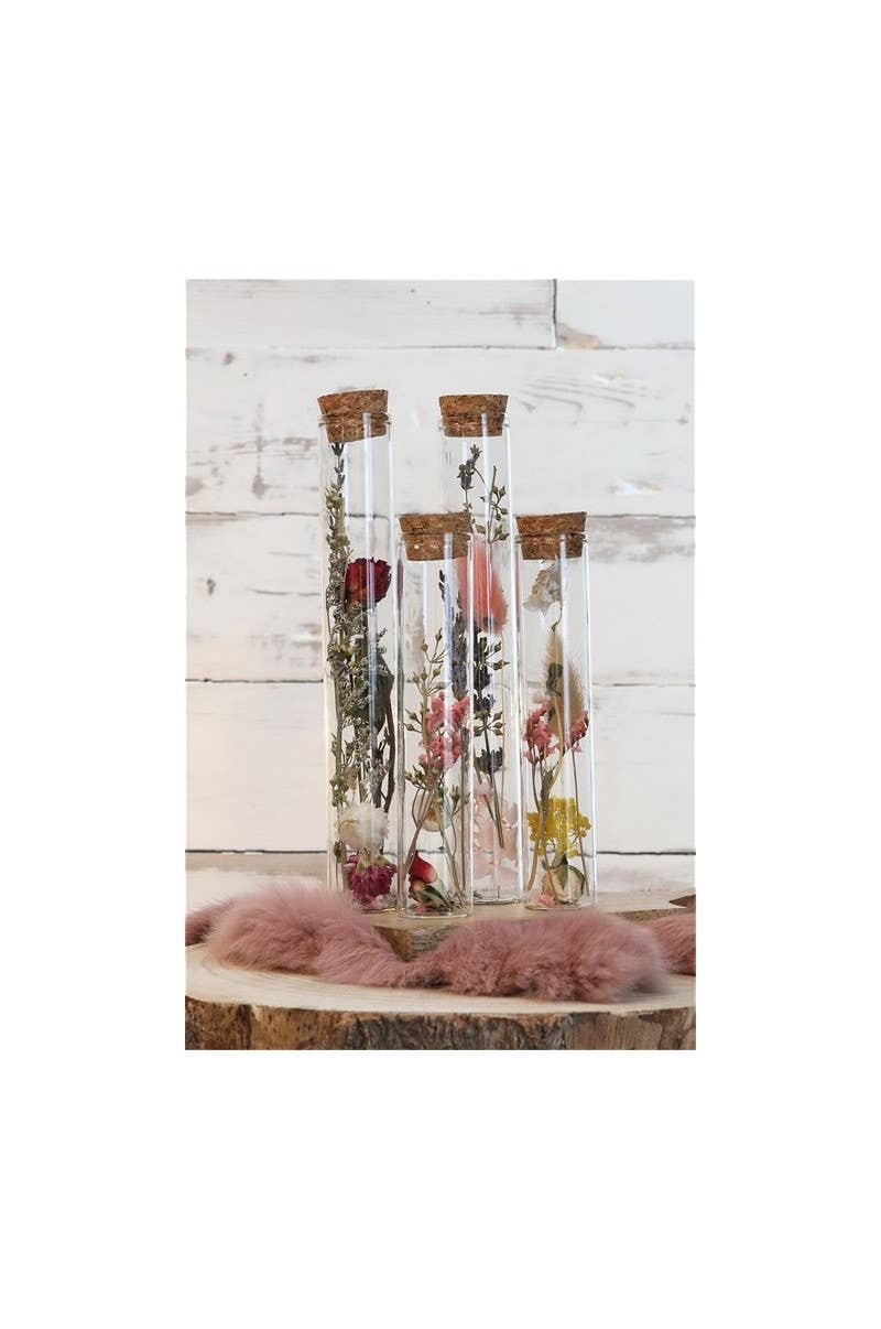 Dutch Flower Studio – Flores secas/prensadas por atacado – Tubos decorativos com flores secas para interiores4