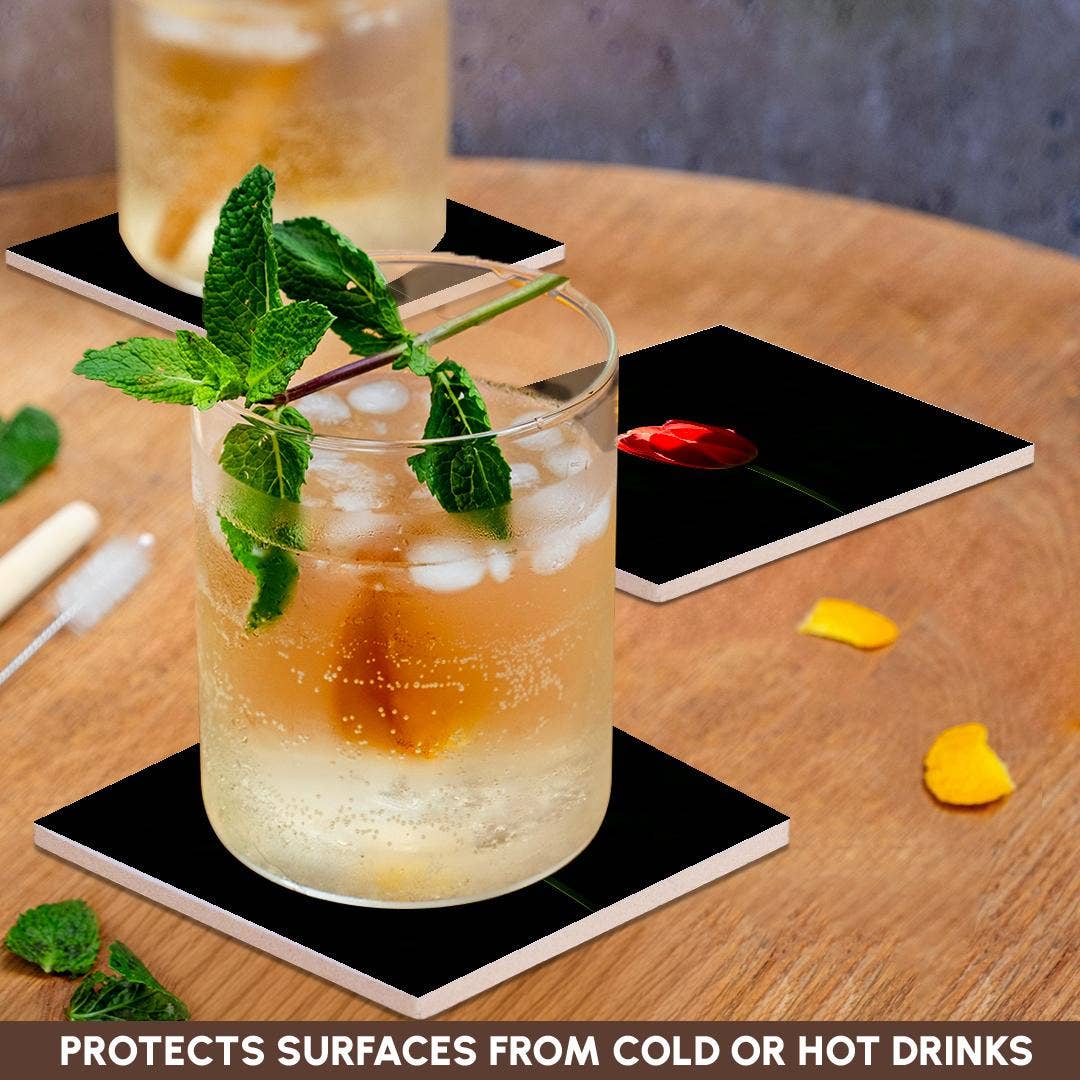 3dRose - Wholesale Coasters - 3dRose, Sunlit red tulip, black background. Minimalist composition, Coaster2