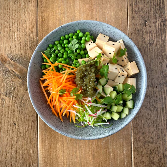 Lofoten Seaweed - Wholesale Shelf-stable prepared meal - Algae Pearls3