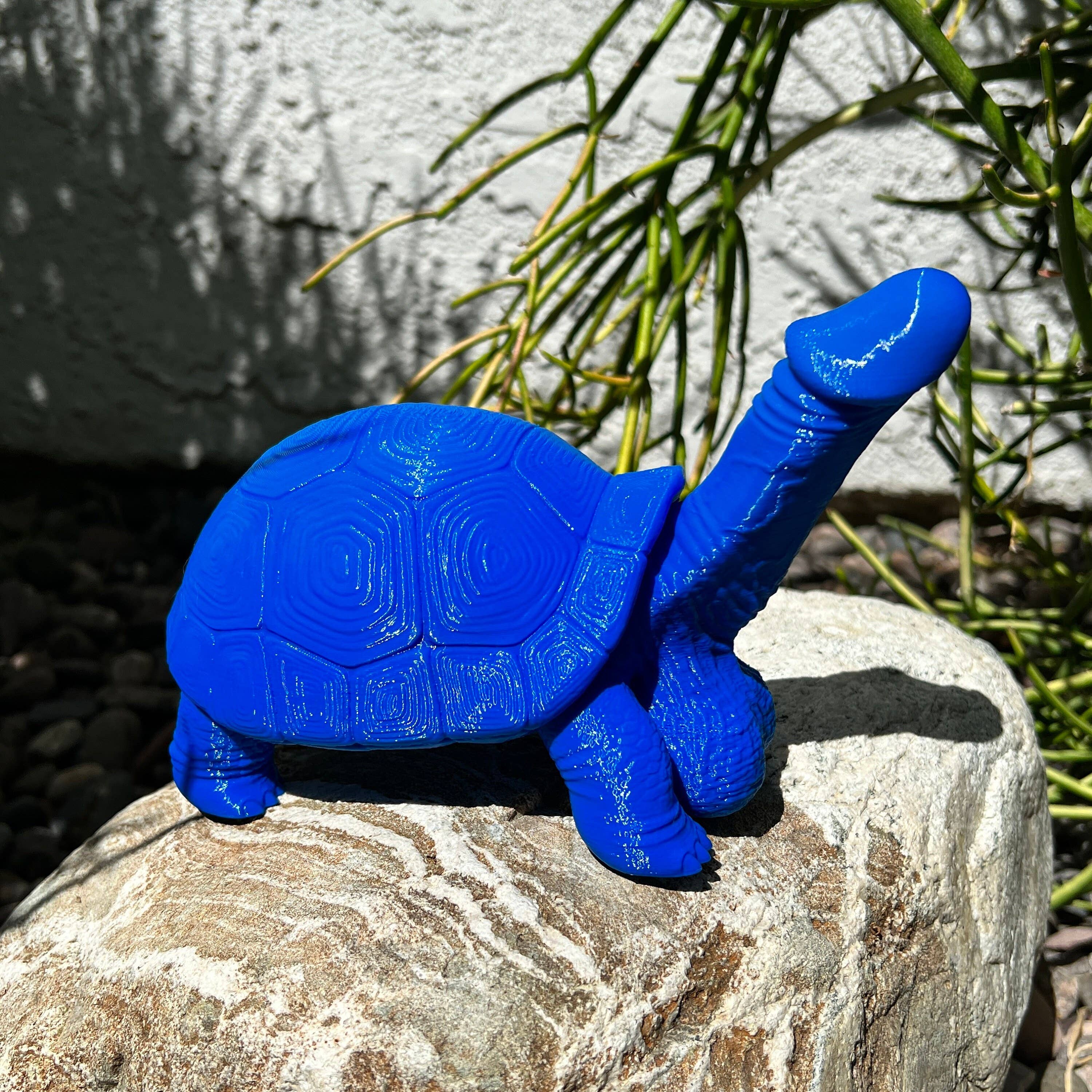 NumanPrints - Vendita all'ingrosso Regalo divertente/originale - Festa di addio al nubilato con la modella Dick Turtle Tortoise8