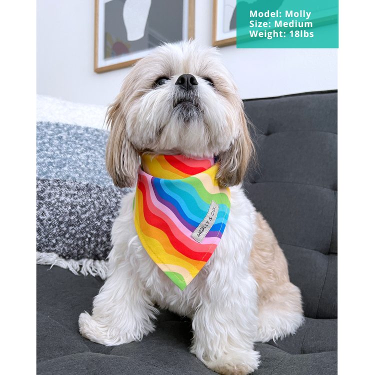 Molly & Co. – wholesale Pet bandana – Dog – Love is Love - Bandana3