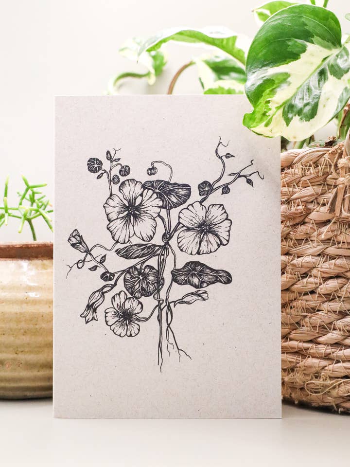 Nasturtium Flower Botanical Drawing Greeting Card for wholesale by Jya Raine