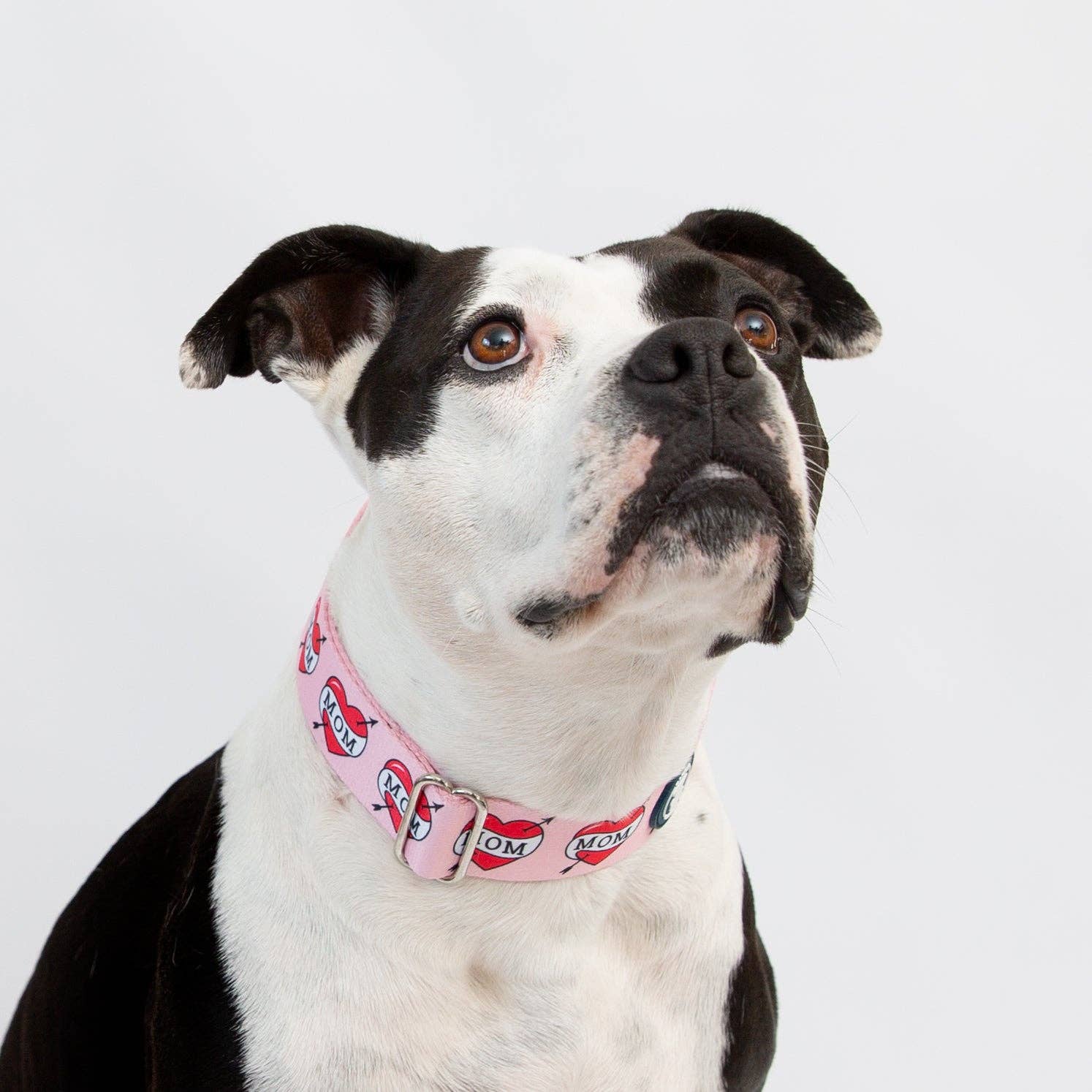Pittie Clothing Co. - Wholesale Pet Collar - Dog - Pink 'MOM' Heart Tattoo Collar5