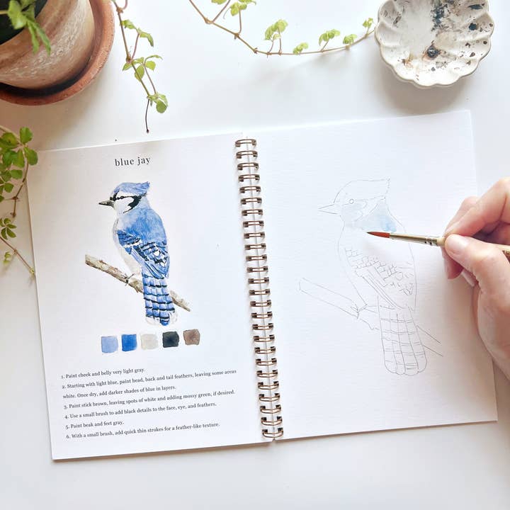 emily lex studio - Wholesale Sketchbook/Sketchpad - birds watercolor workbook