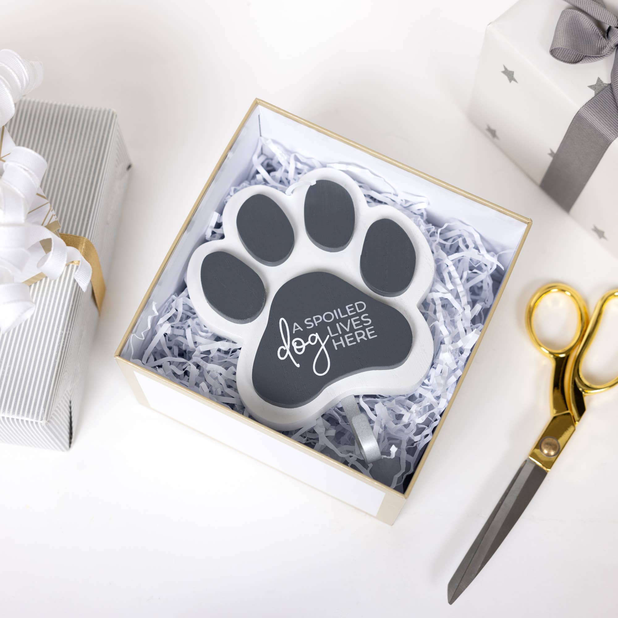 Pavilion - Vendita all'ingrosso Gancio da parete - Spoiled Dog - Gancio per collare/guinzaglio da 14 cm2