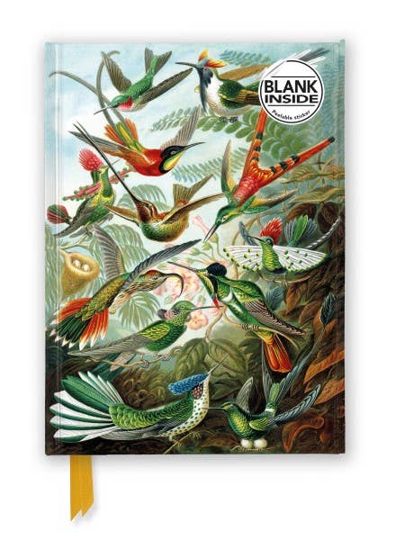 Texas Bookman - Wholesale Journal/Diary - Ernst Haeckel: Hummingbirds Blank Journal0