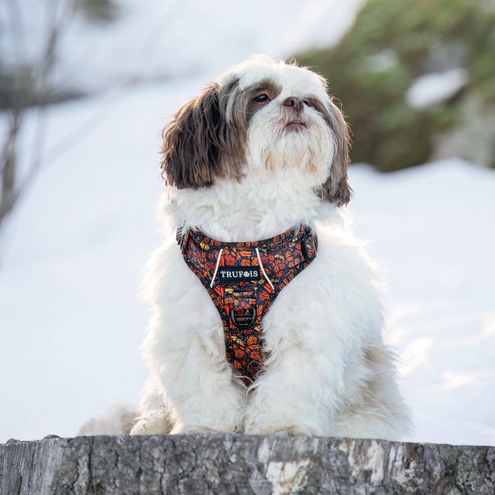 Trufois - Vente Harnais – chien - Harnais Sisu - Chute et Vol1