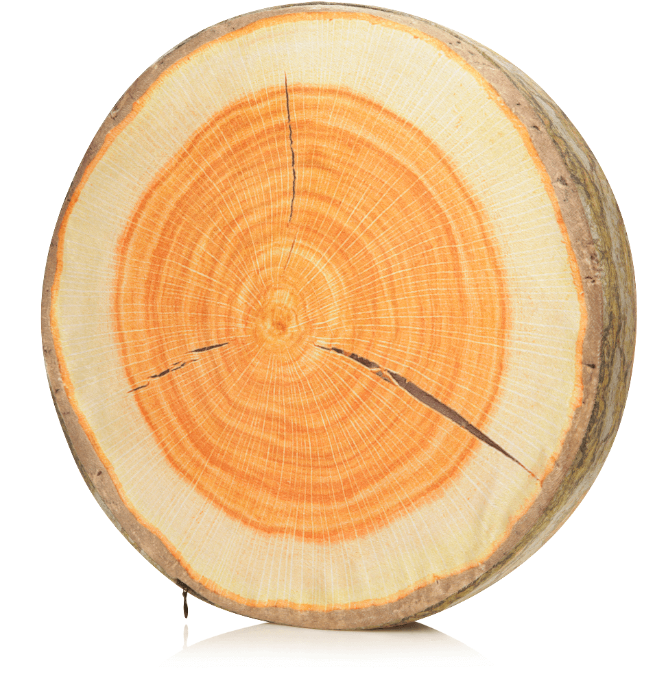 Husband Pillow - Vendita all'ingrosso Cuscini per letto - 360 - FETTA-REGISTRO-MAPL14