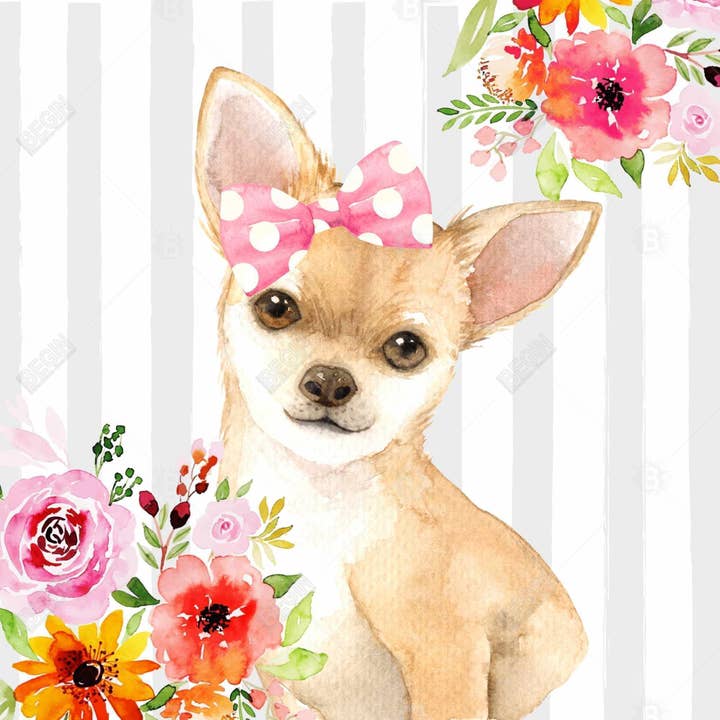 Blå Chihuahua hund | Invändig kudde 20 ”x 20" för wholesale på Faire