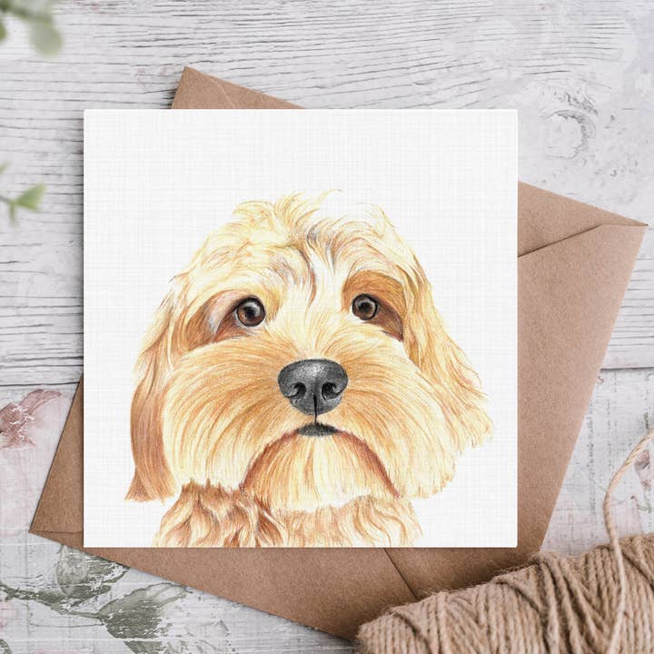 Carta Cockapoo Oro per la vendita all'ingrosso da parte di Cloud Jellybean Art