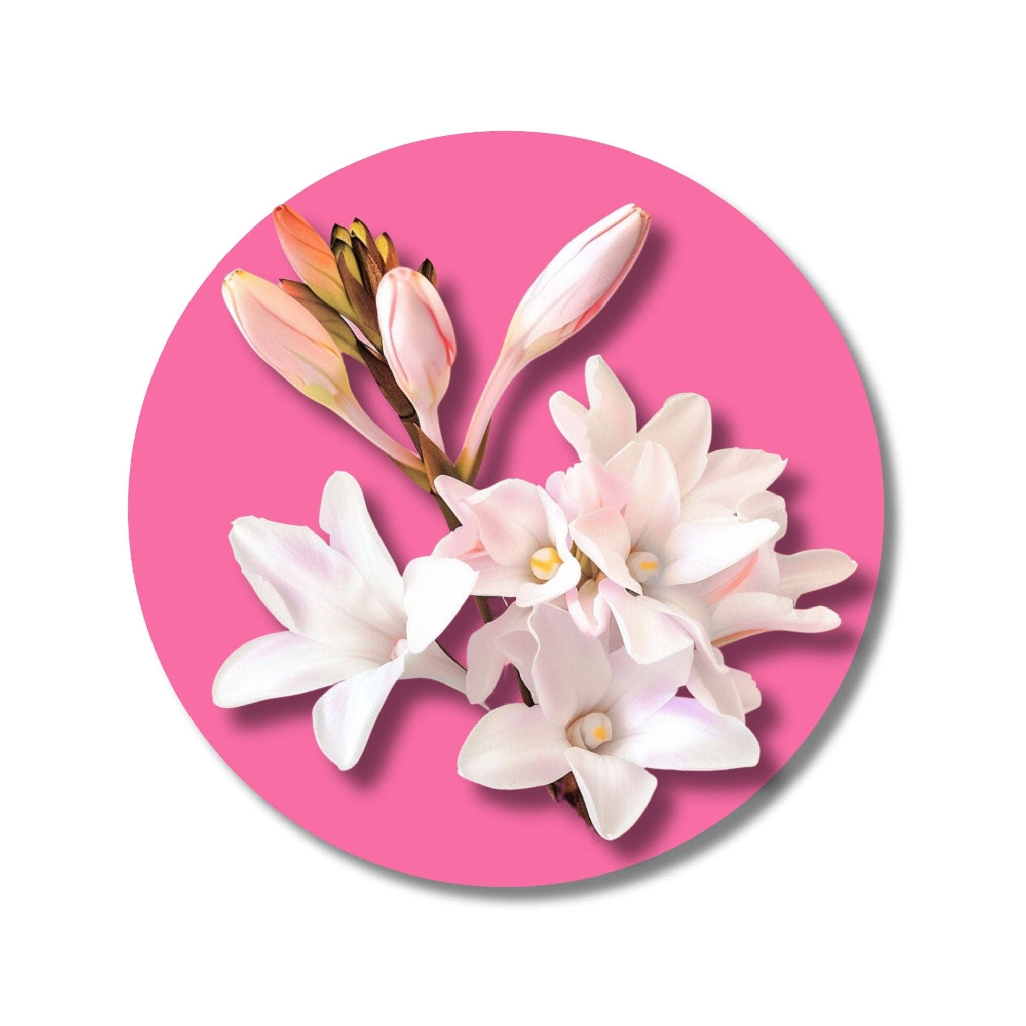 ēma fragrance - Wholesale Solid Perfume - ēma Tuberose Solid Perfume Pod – Calming Holiday Gift2