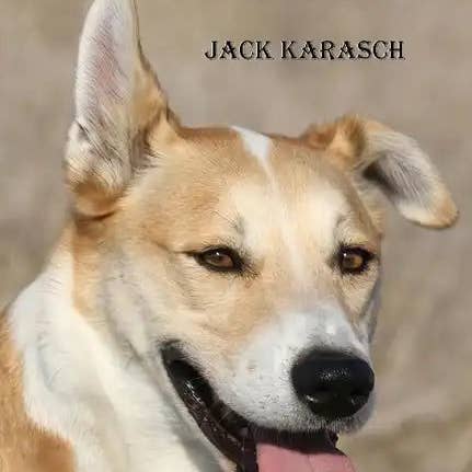 Books by splitShops - Wholesale Book - Adult - A Dog's Lives - Paperback0