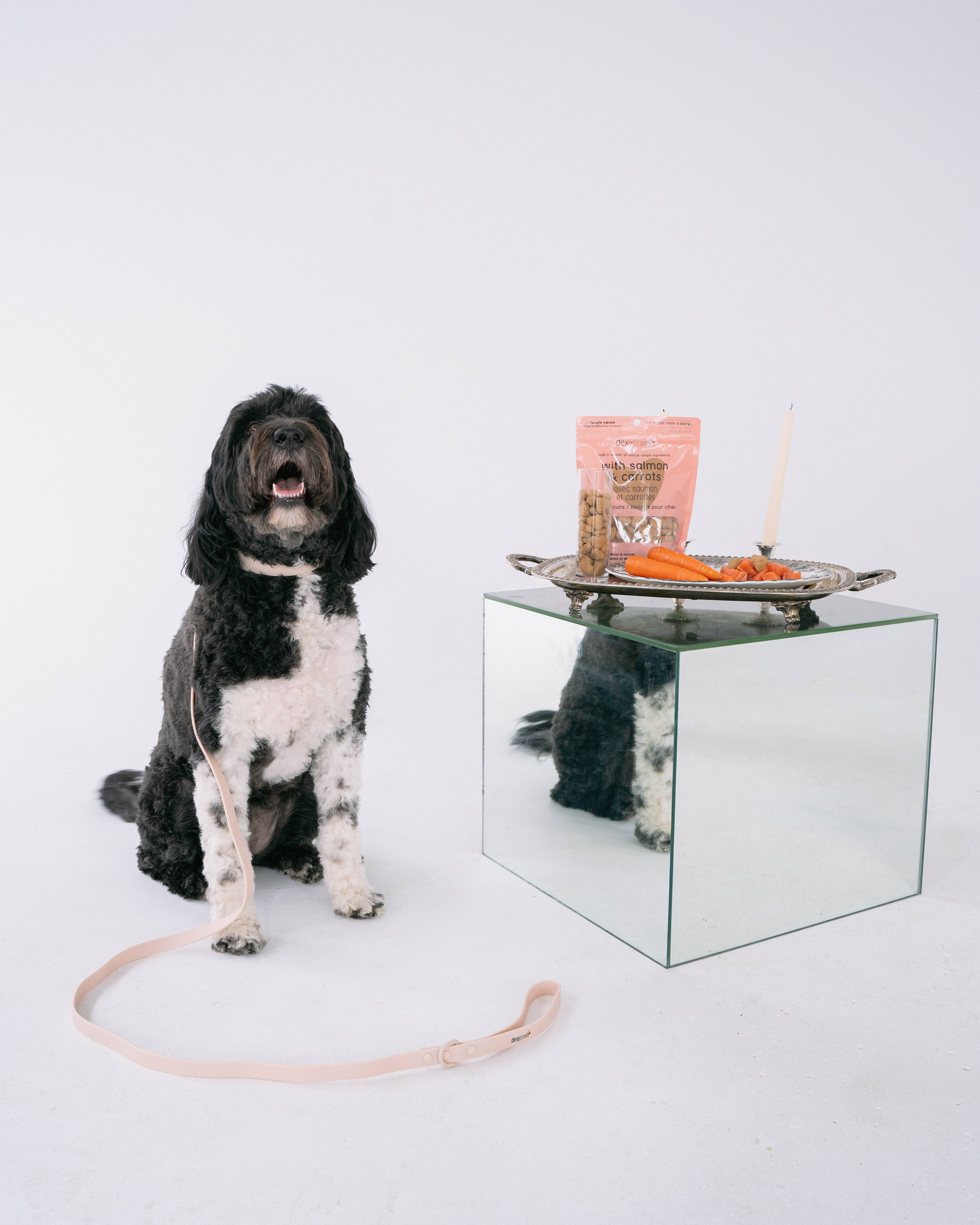 dexypaws – Großhandel Leckerlis – Hund – Lachs-Hundeleckerlis3