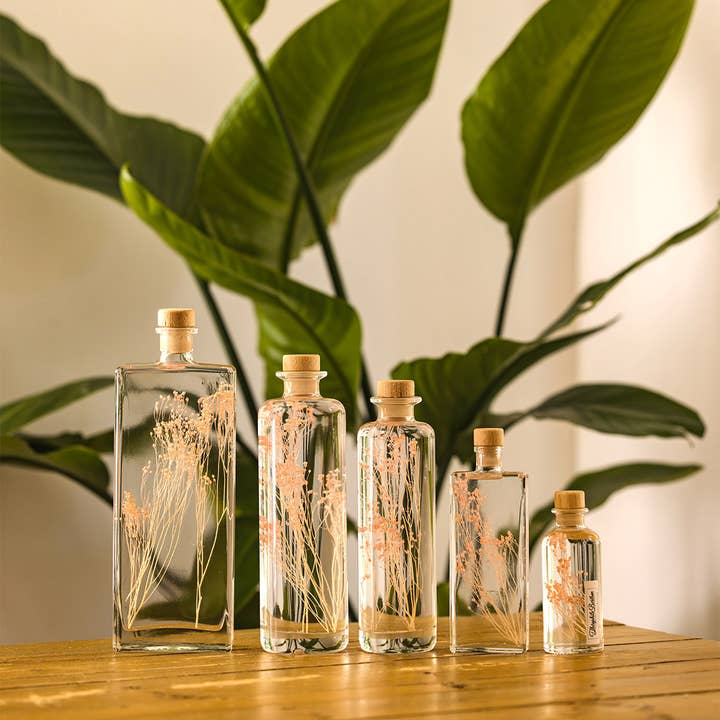 The pink Broom Herbarium - submerged plant for wholesale by Theophile Berthon