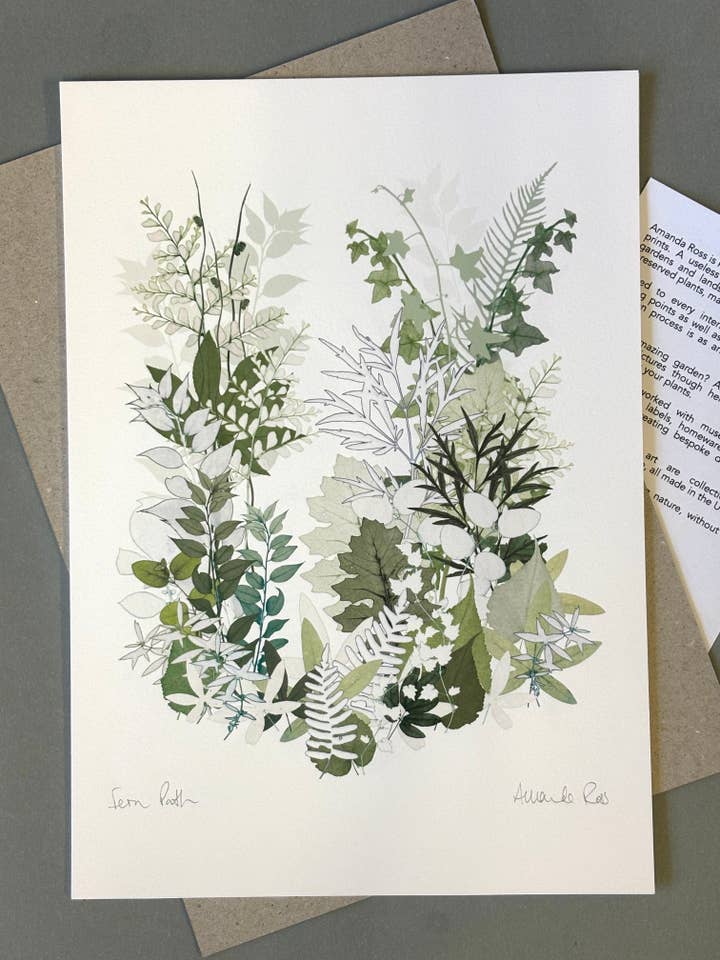 Fern Path paper print US Size for wholesale by Amanda Ross