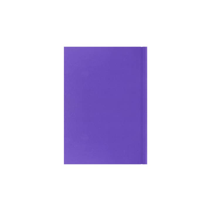 Collins Debden - Vente Agendas - Essentiels - Agenda Planificateur Année Scolaire/Milieu de l'Année A5 Jour par Page avec Rendez-vous, Juillet 2025 - Juillet 202622