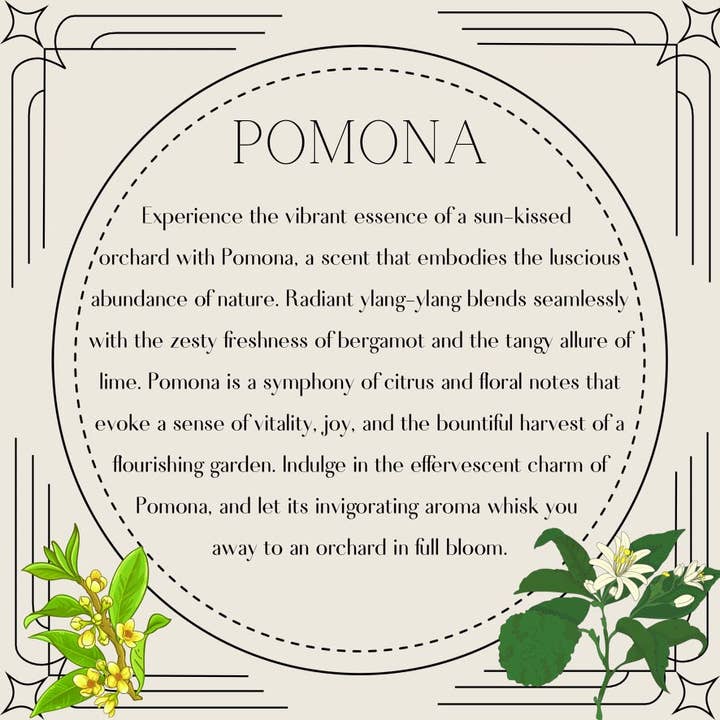 Balance Mind, Body, & Soul Inc. - Wholesale Bath/Body Oil - Goddess Body Oils7