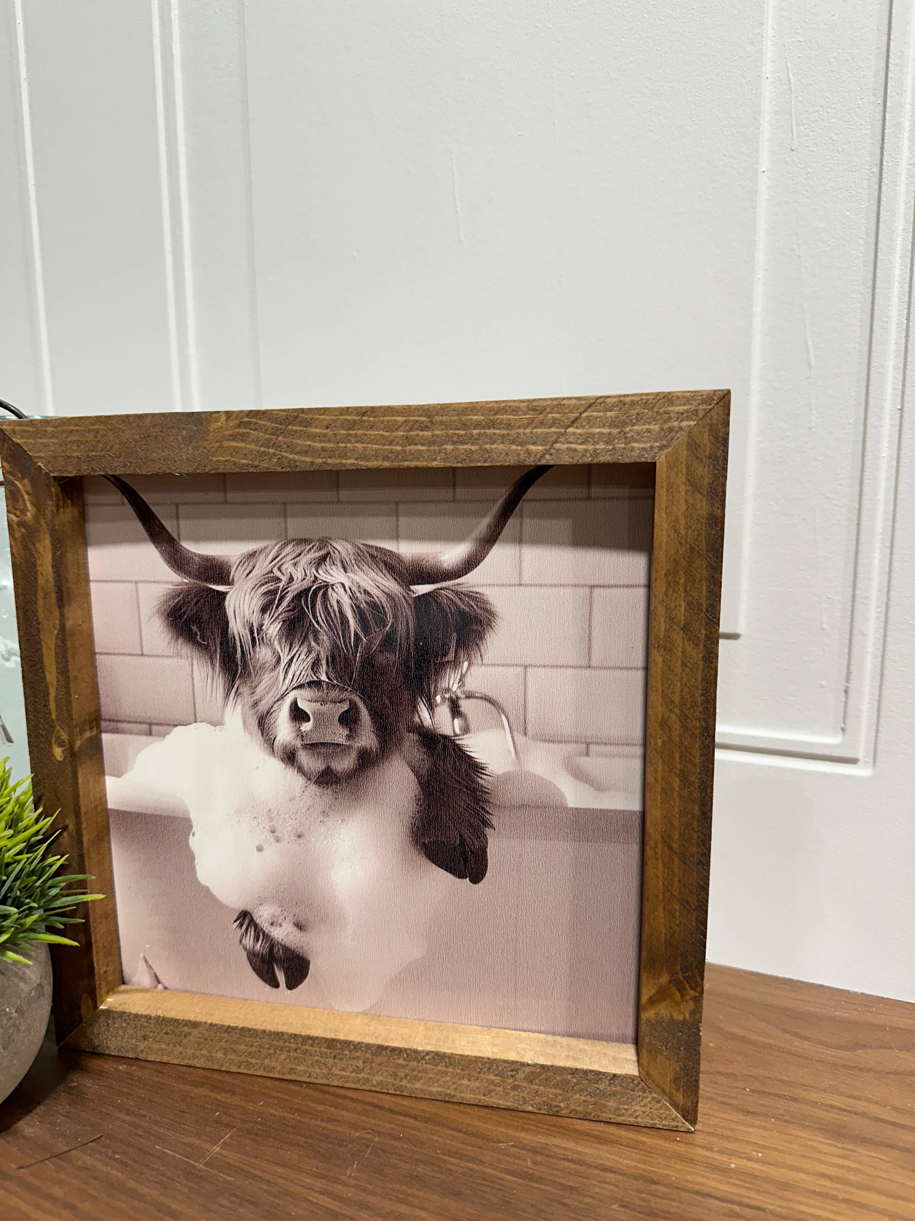 The Broken Board - Venta al por mayor Ilustración - Vaca Highland sumergida en la bañera5