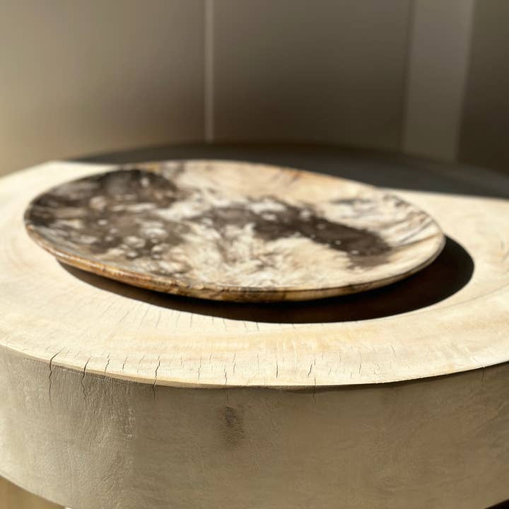Office Objets - Wholesale Decorative Plate/Dish/Bowl - Very large catchall or dish in petrified wood40