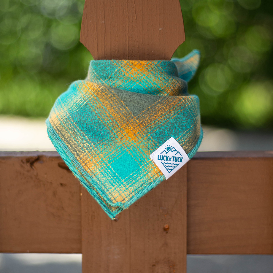 LUCK OF TUCK - Vente Bandana – chien - Enzo Bandana pour chien1