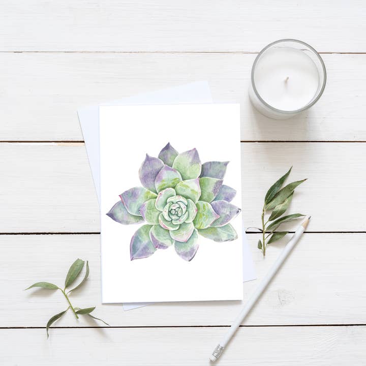 Succulent Card for wholesale by Bobbi Lee Wilson Art Cards